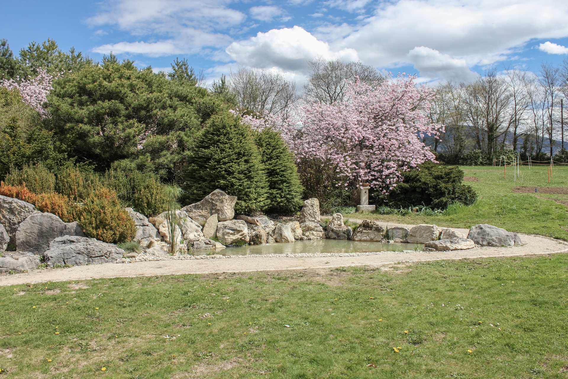 Presinge pond : landscaping