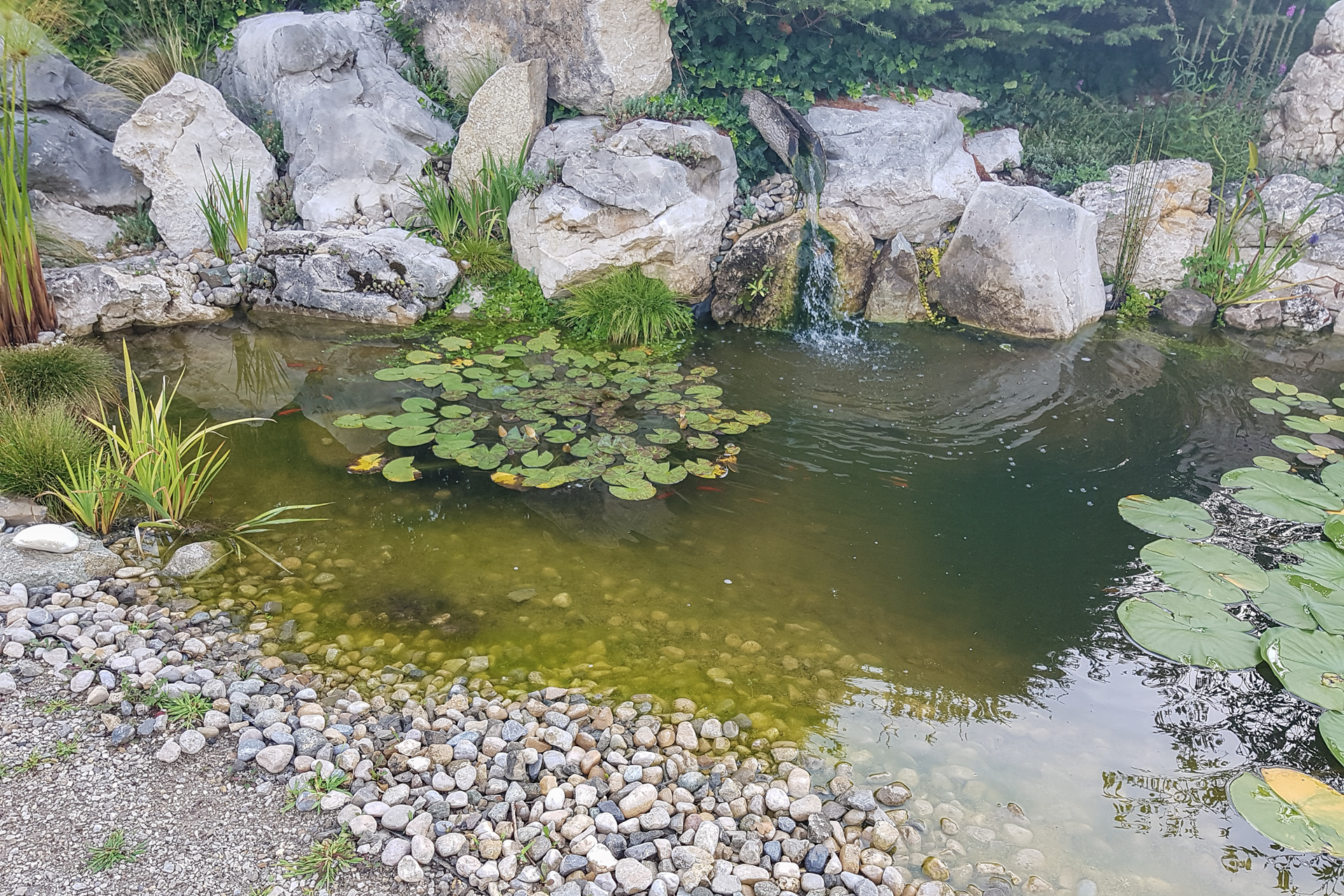 Presinge pond : landscaping
