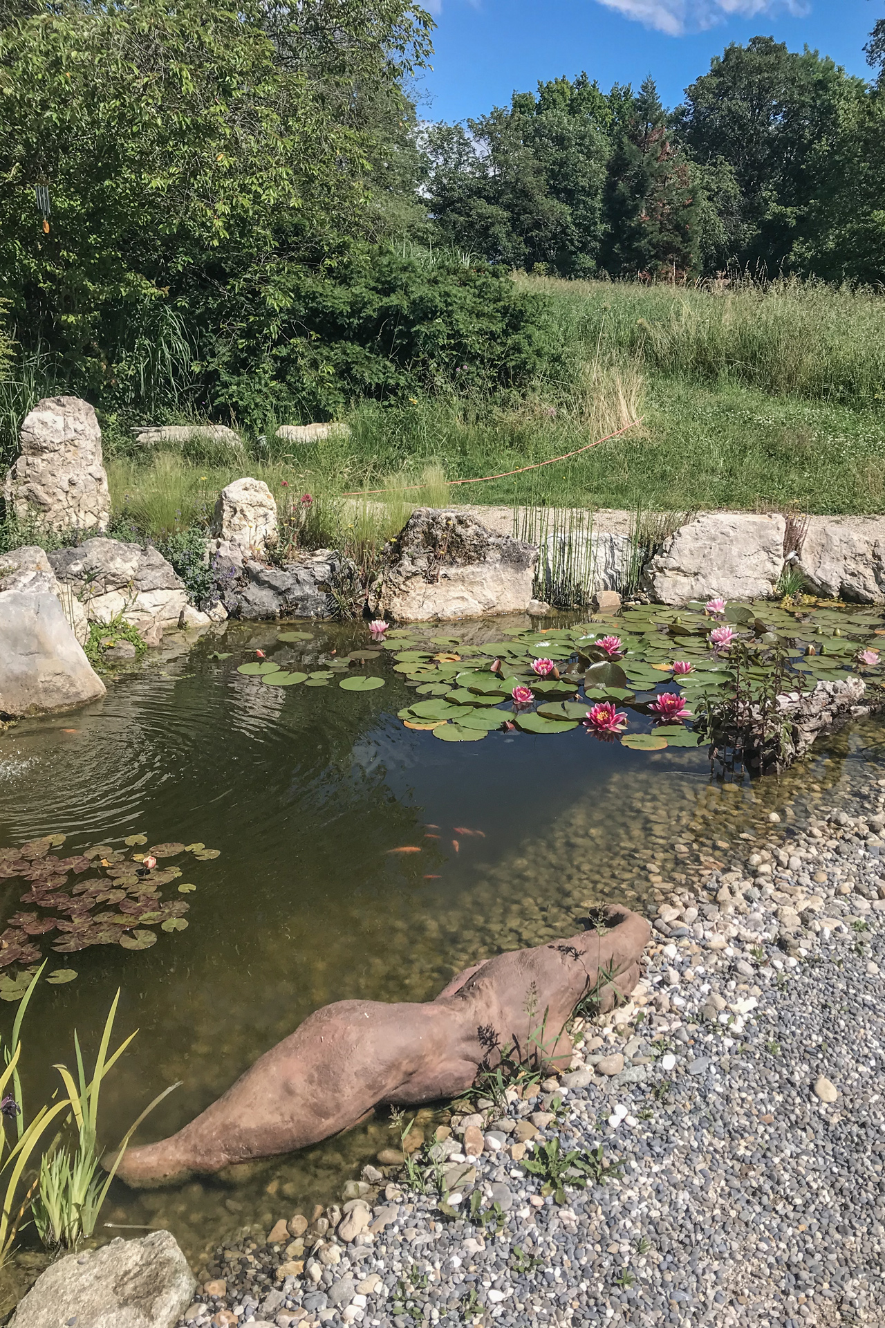 Presinge pond : landscaping