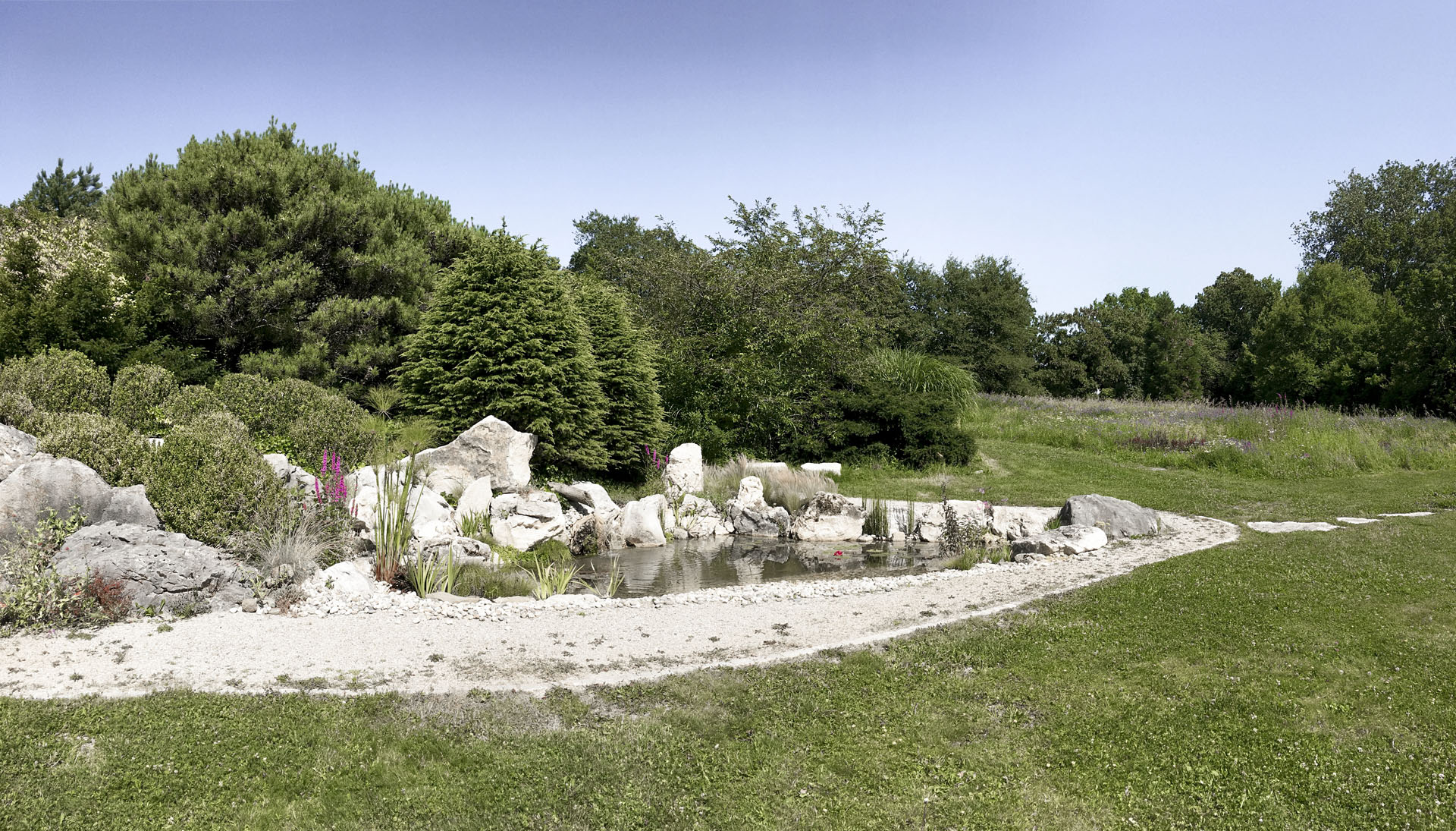 Presinge pond : landscaping