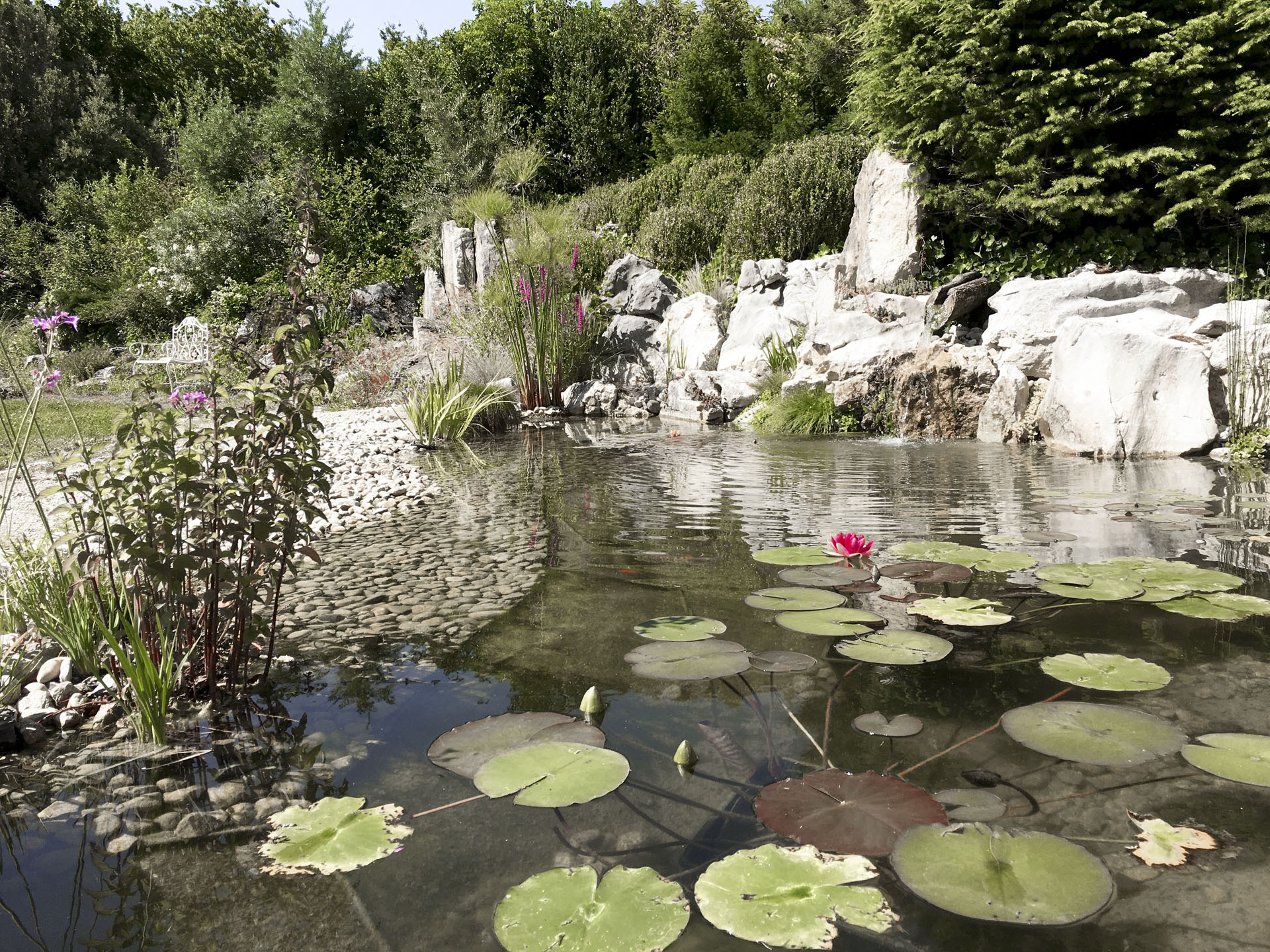 Presinge pond : landscaping
