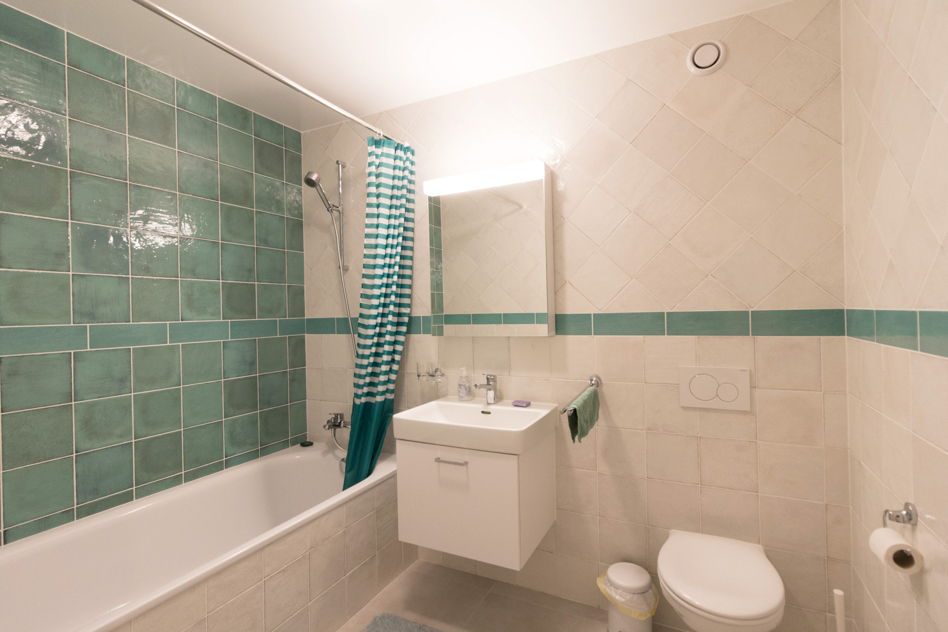 Apartment renovation : Bathroom