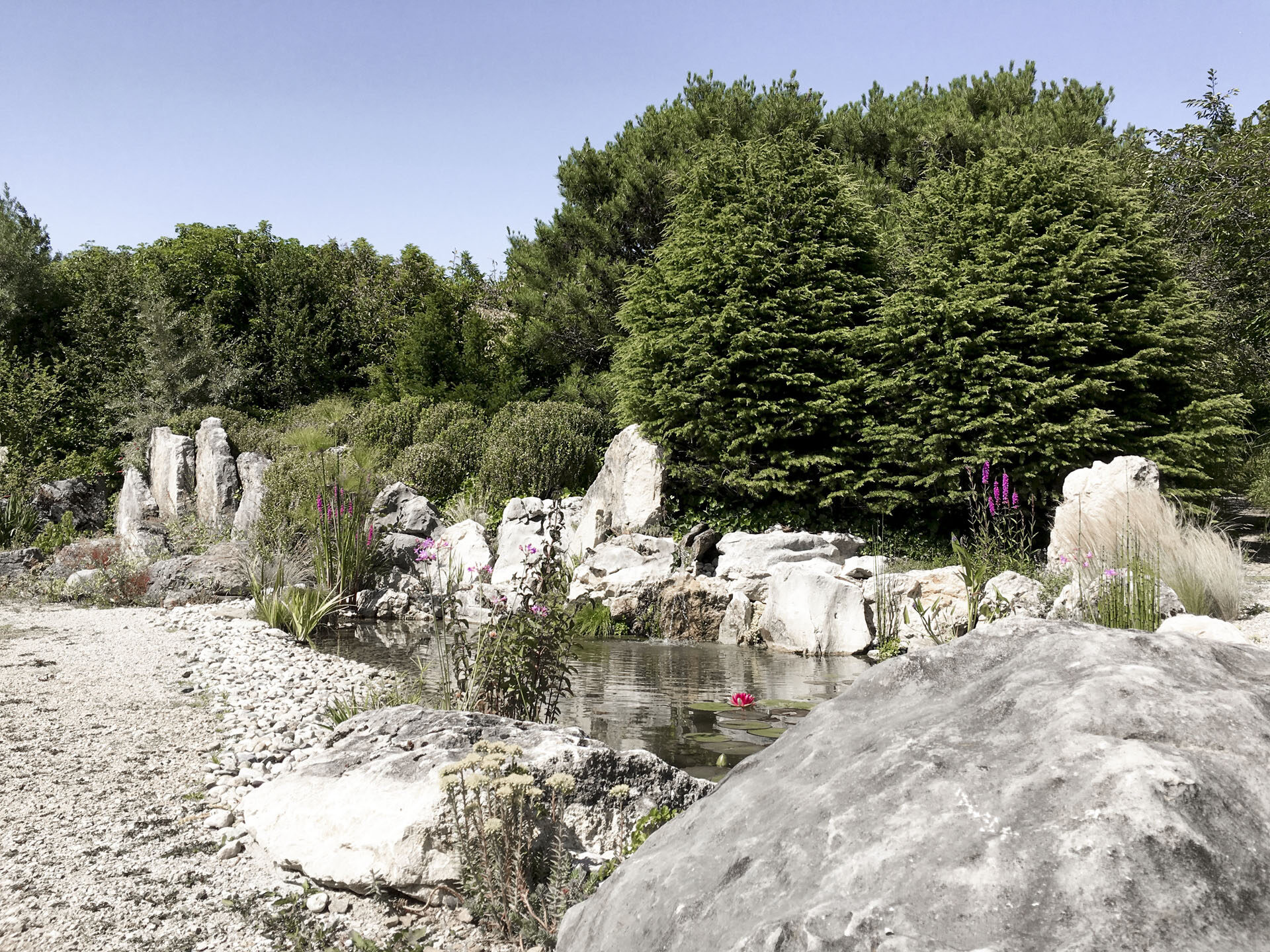 CSDK Bassin de jardin 2 1920x1440 - Engagement durable - CSDK Bassin de jardin 2 1920x1440