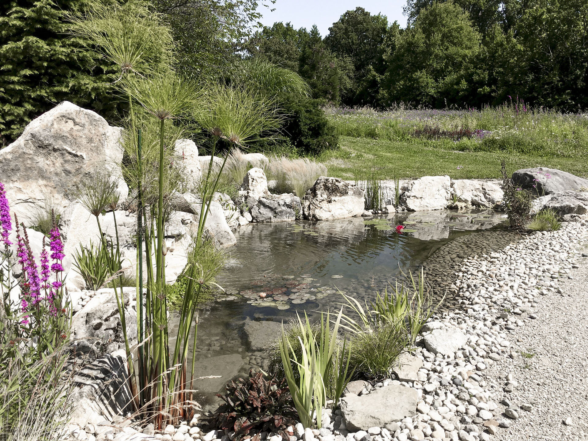 CSDK Bassin de jardin 3 1920x1440 - Engagement durable - CSDK Bassin de jardin 3 1920x1440