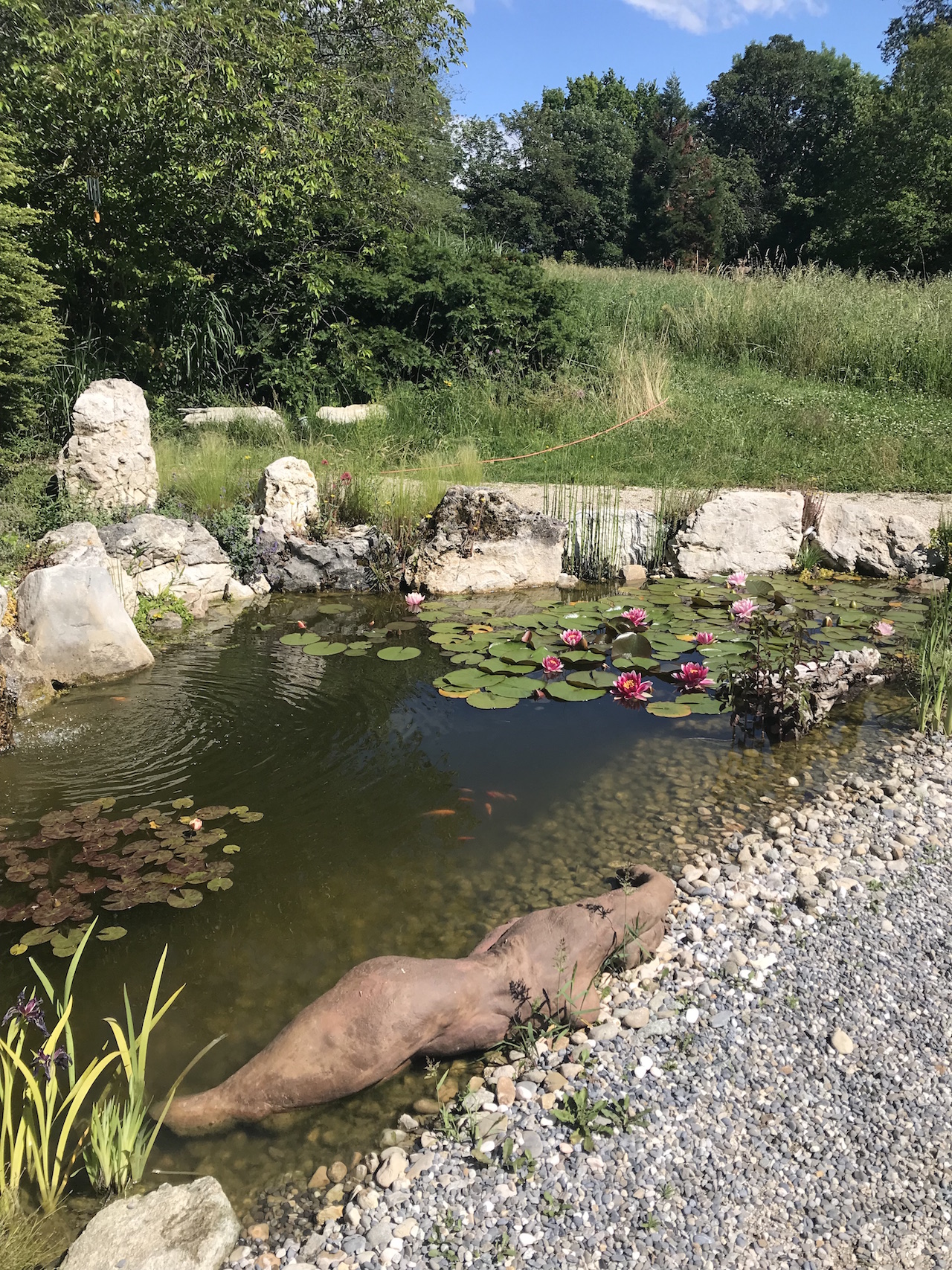 CSDK Bassin de jardin 4 - Engagement durable - CSDK Bassin de jardin 4