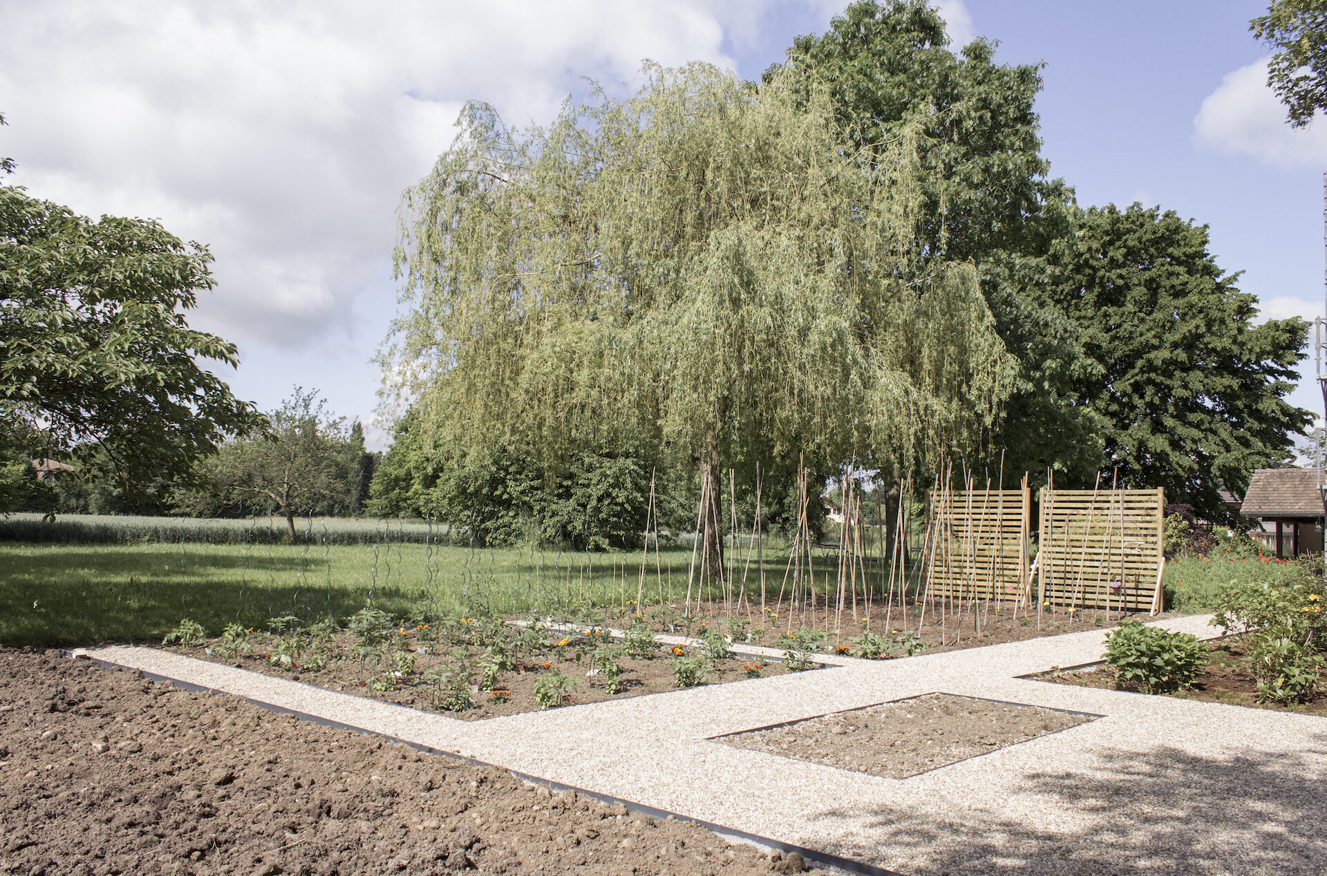 CSDK Potager domestique 1 1920x1267 - Engagement durable - CSDK Potager domestique 1 1920x1267