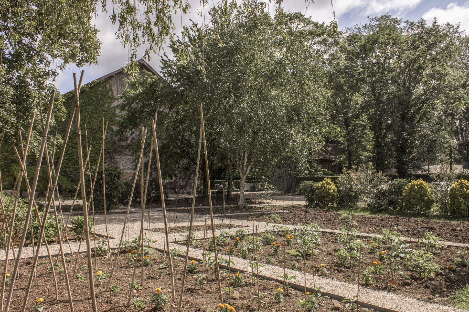 CSDK Potager domestique 3 1920x1280 - Engagement durable - CSDK Potager domestique 3 1920x1280