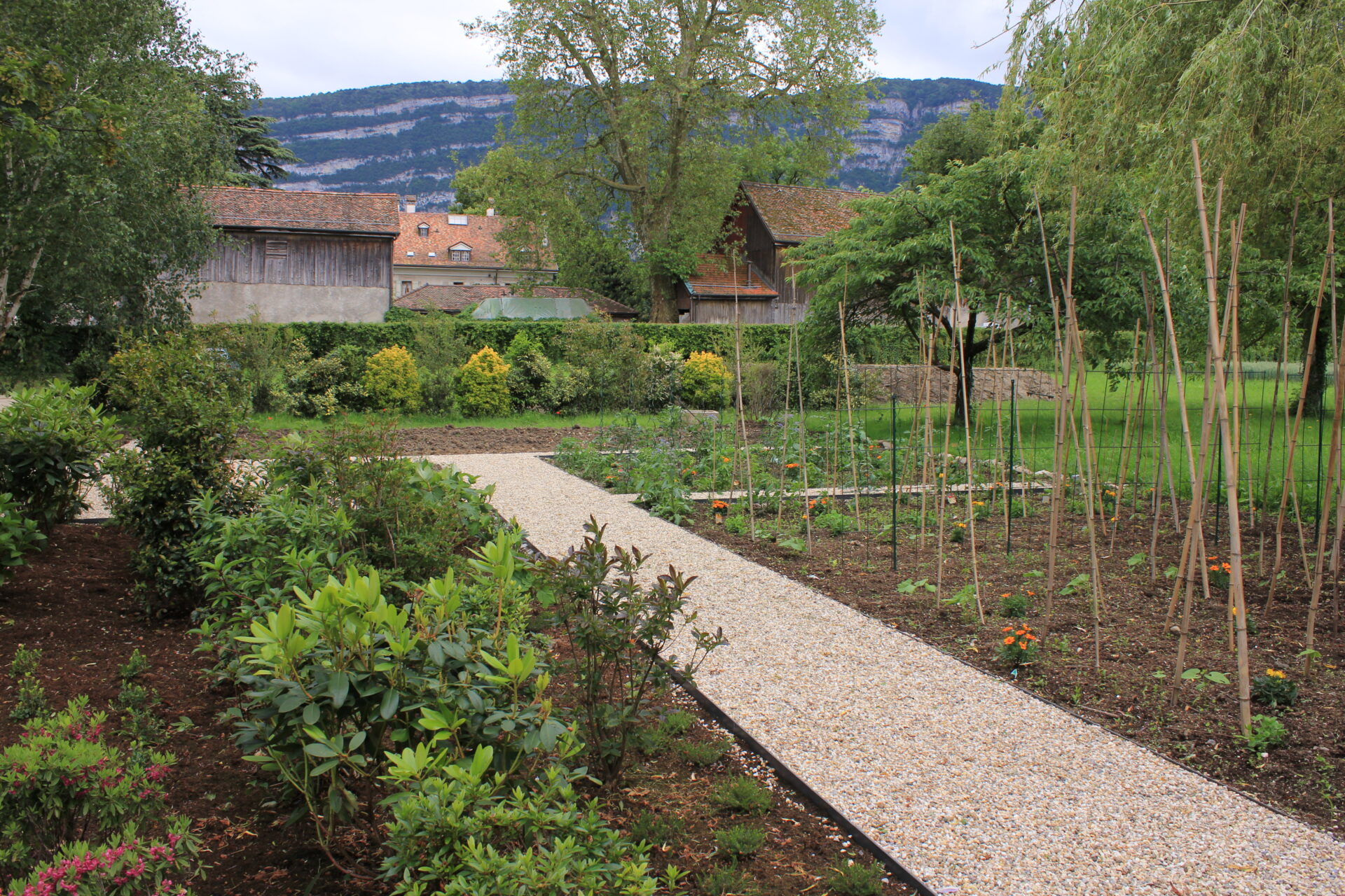 CSDK Potager domestique 4 1920x1280 - Engagement durable - CSDK Potager domestique 4 1920x1280