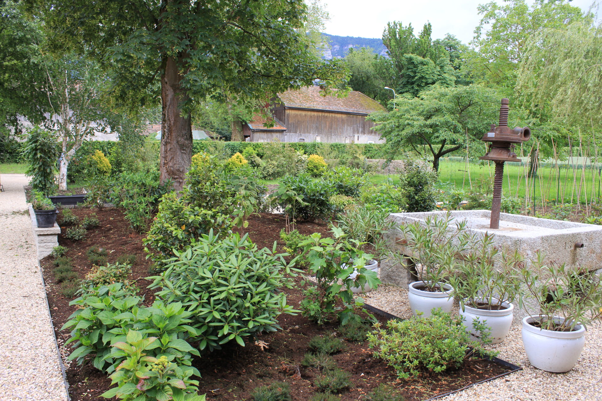 CSDK Potager domestique 5 1920x1280 - Engagement durable - CSDK Potager domestique 5 1920x1280