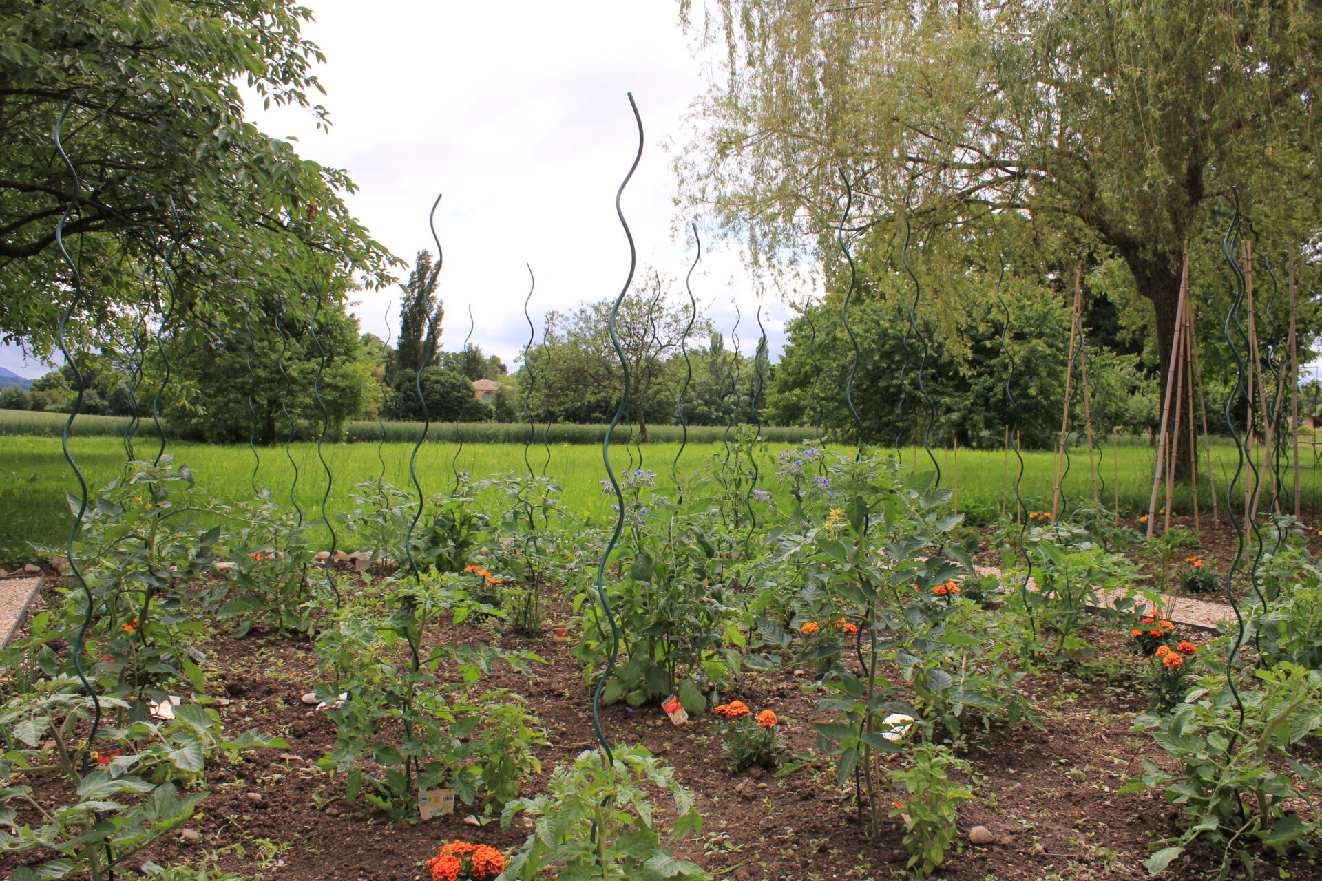 CSDK Potager domestique 6 1920x1280 - Engagement durable - CSDK Potager domestique 6 1920x1280