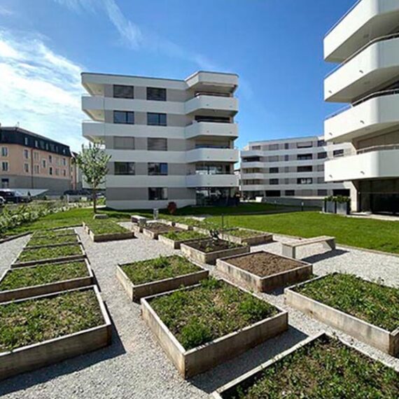 CSDK Architectes Bulle Feature 570x570 - Projets - CSDK Architectes Bulle Feature 570x570