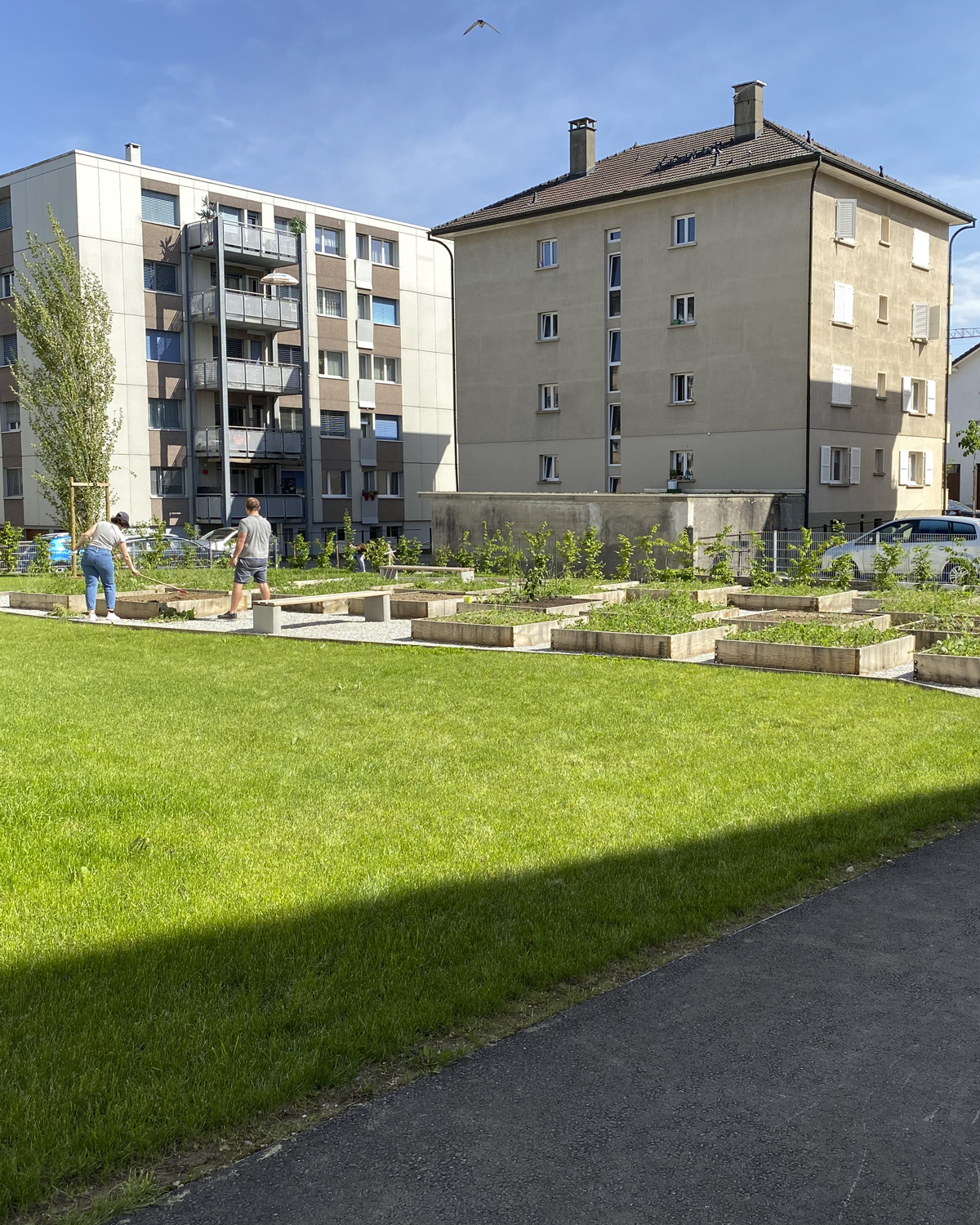 CSDK Architecte Bulle Ame%CC%81nagements 4 - Vegetable garden - Bulle - CSDK Architecte Bulle Ame%CC%81nagements 4