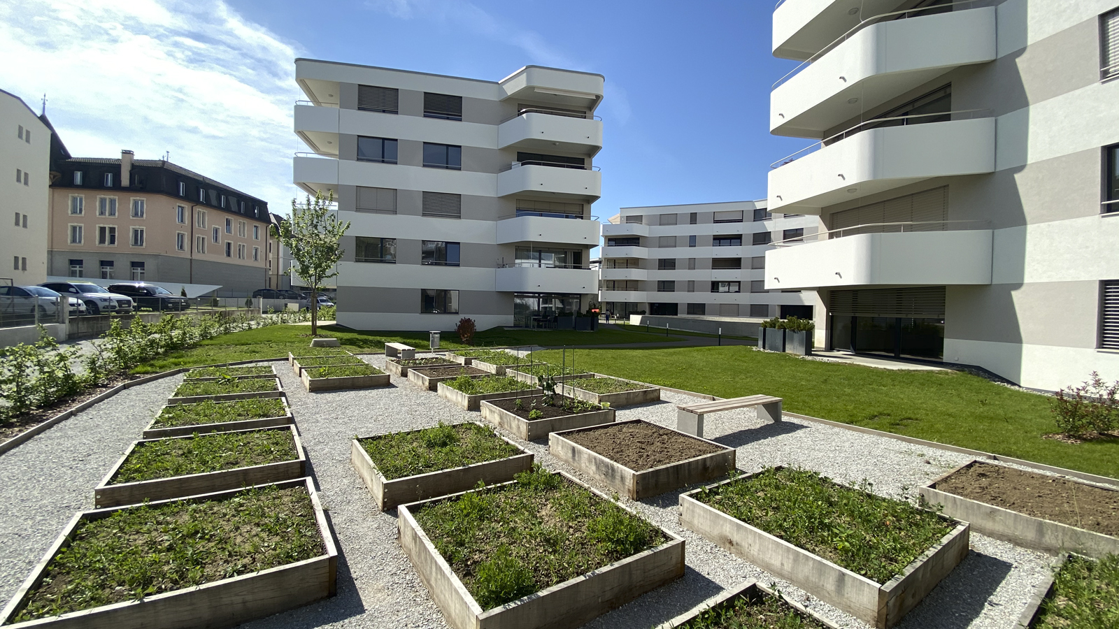 CSDK Architecte Bulle Aménagements 1 - Vegetable garden - Bulle - CSDK Architecte Bulle Aménagements 1